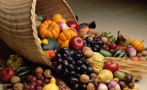 Harvest Blog: October to November 2015